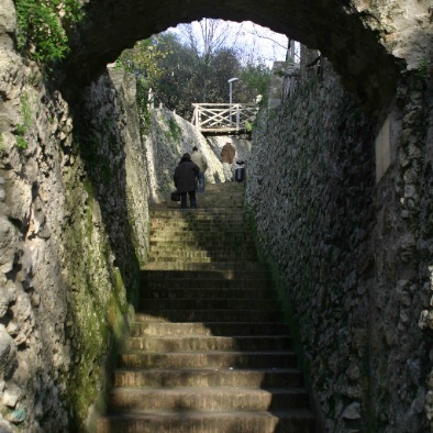 IMG_8031_edited