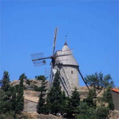 IMG_4953