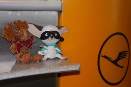 Loading Image