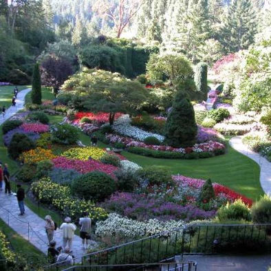 ButchartGardens-BC-308-D1113