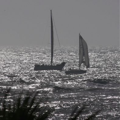 BaldHeadIsland-NC-804-P0168