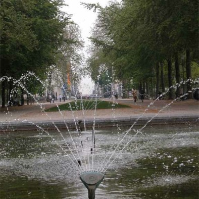 DSCN2432