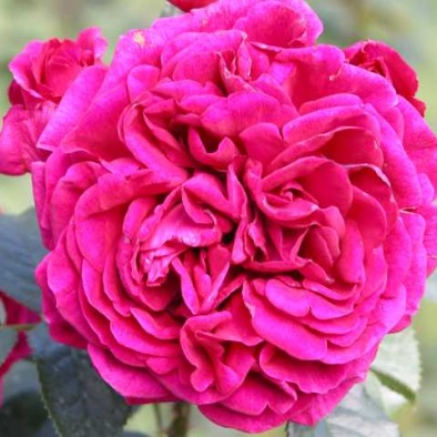 DSCN1177