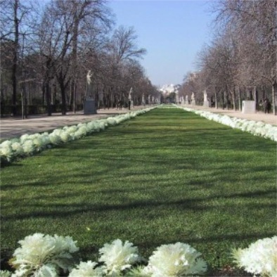 madrid2